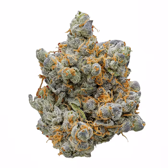 TROPICAL ZKITTLEZ STRAIN