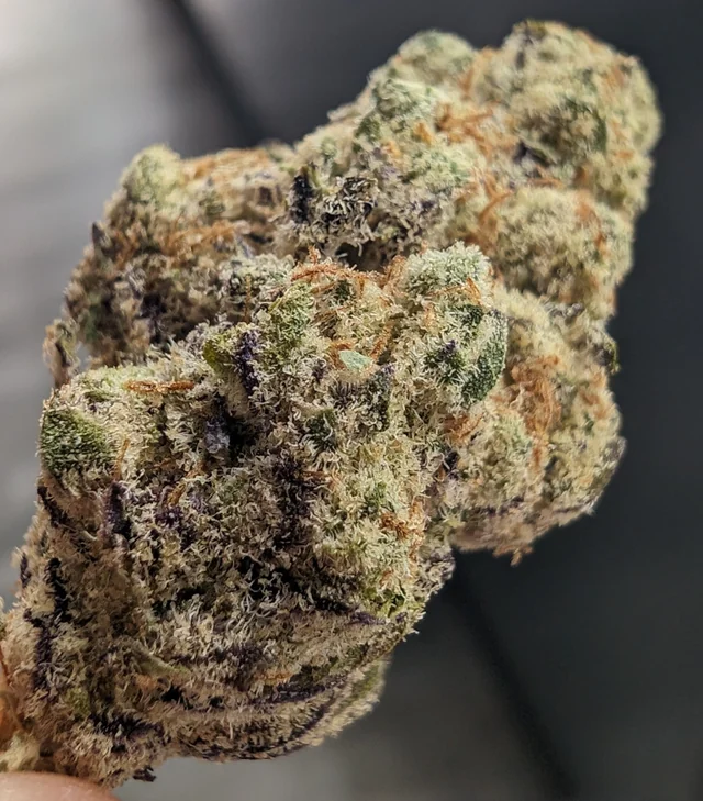 PURPLE TESLA