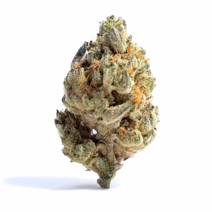 PINEAPPLE GELATO
