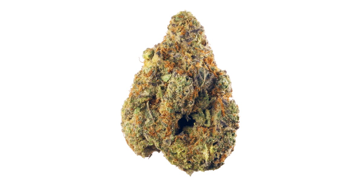 ITALIAN ICE STRAIN