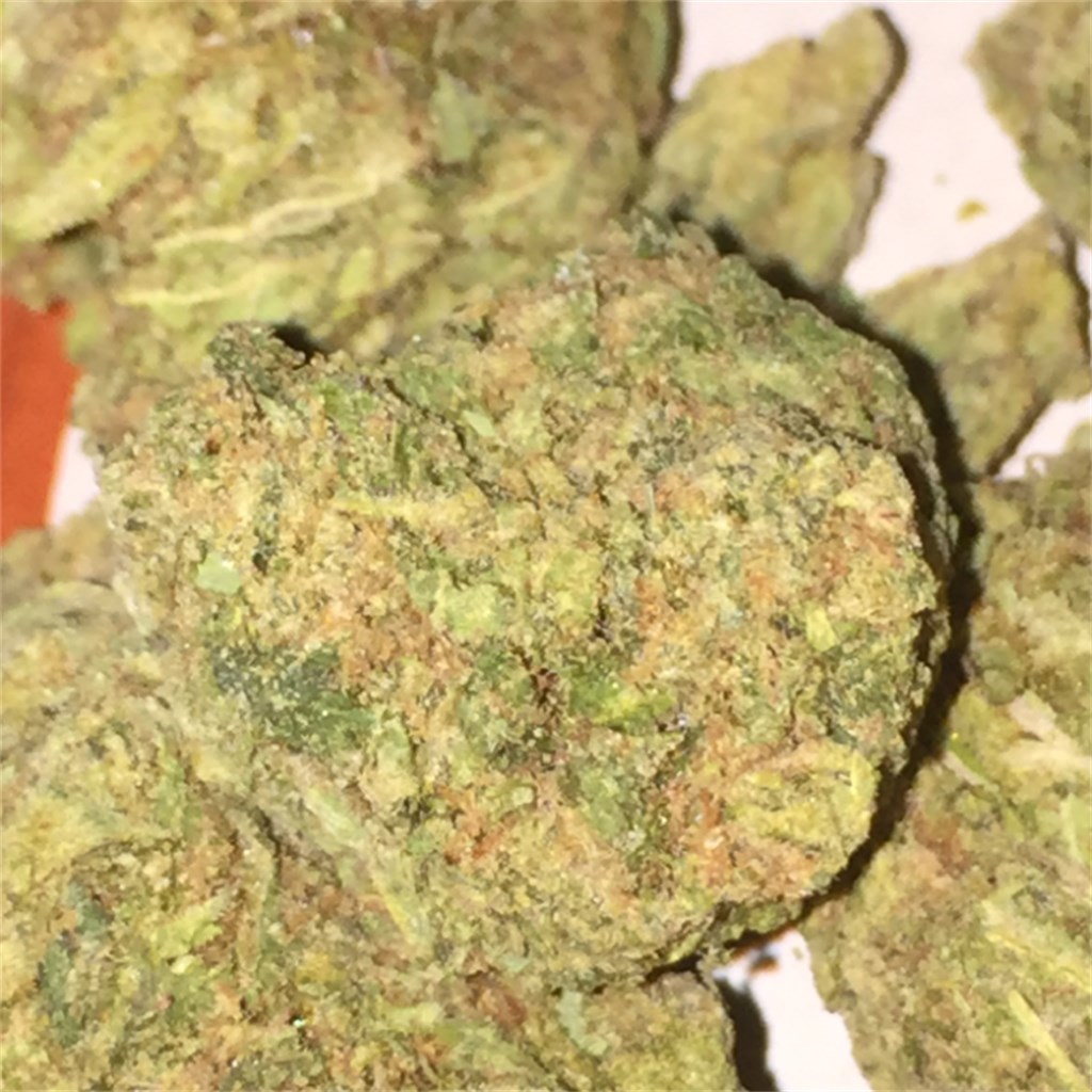 GREEN DREAM