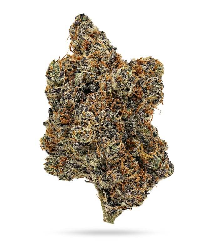 GRAPE GUSHERS
