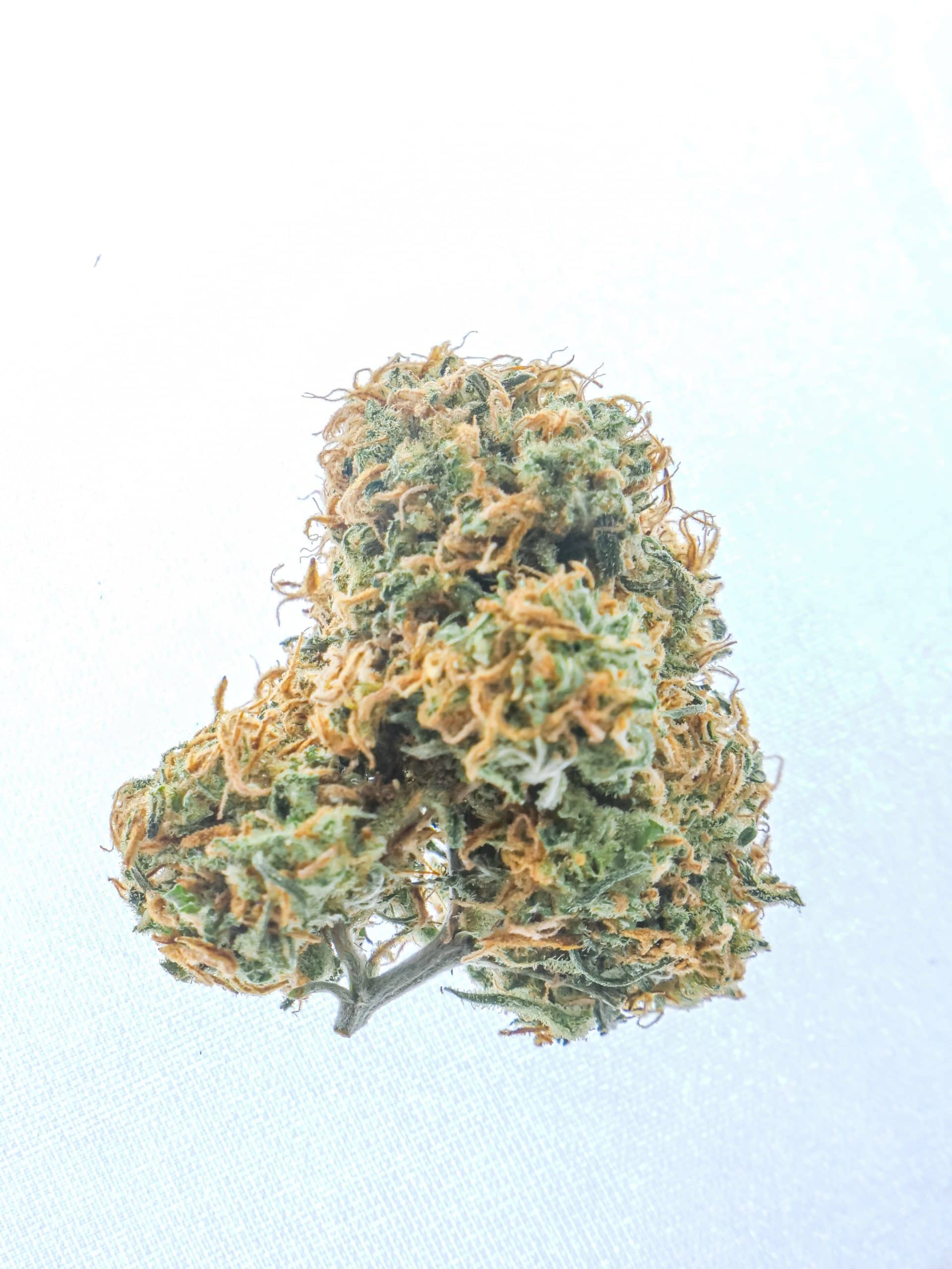 CHERRY POPPERZ STRAIN