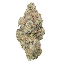 HASH BURGER